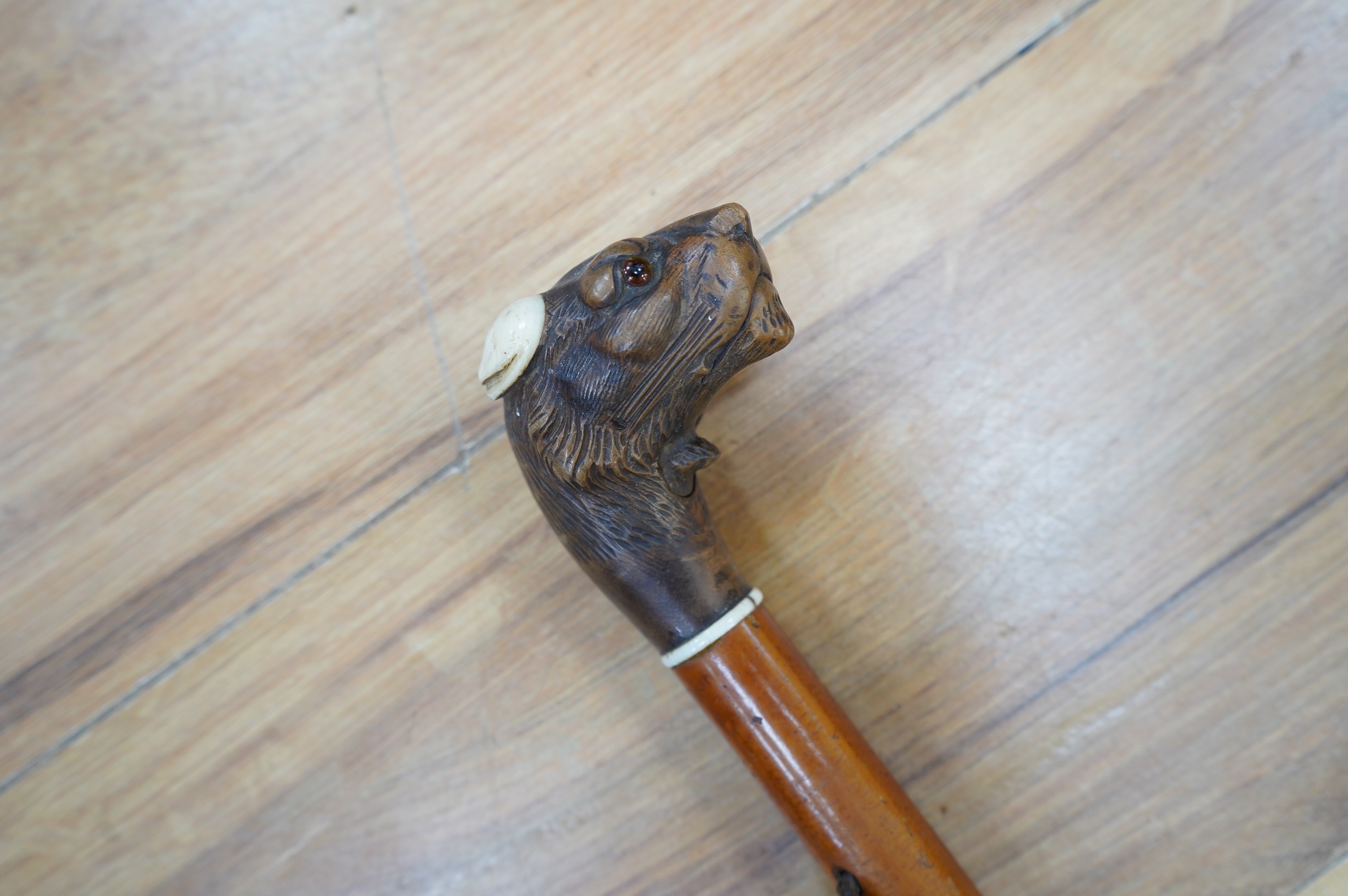 An Edwardian novelty malacca walking stick with mechanical leopard's head handle with ivory ears, 84cm long. Condition fair to good, minor losses only. CITES Submission reference, N6TYKRKZ